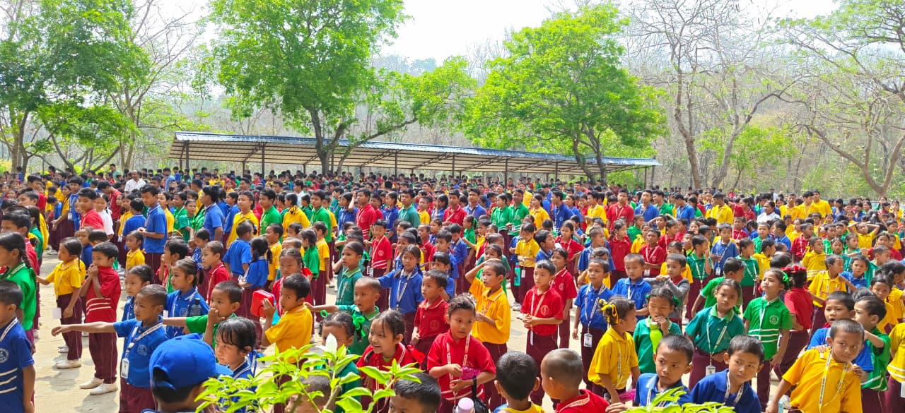 Students Activity